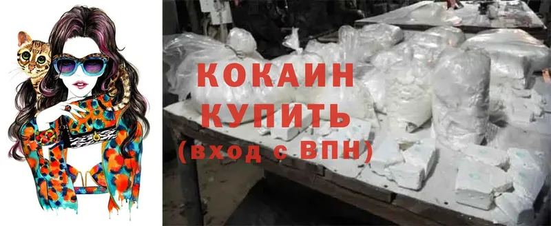 закладки  Новомичуринск  КОКАИН Боливия 